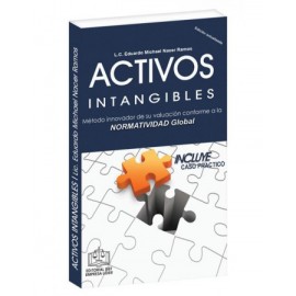 Activos Intangibles